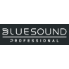 BlueSound PRO